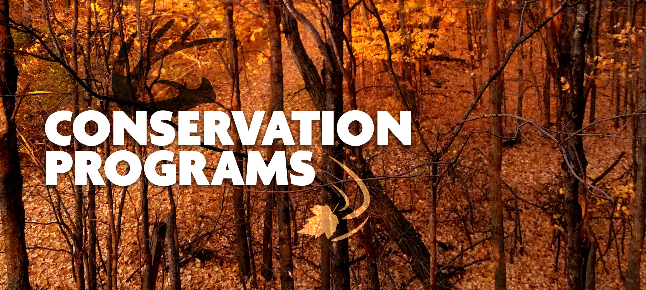 Conservation Programs