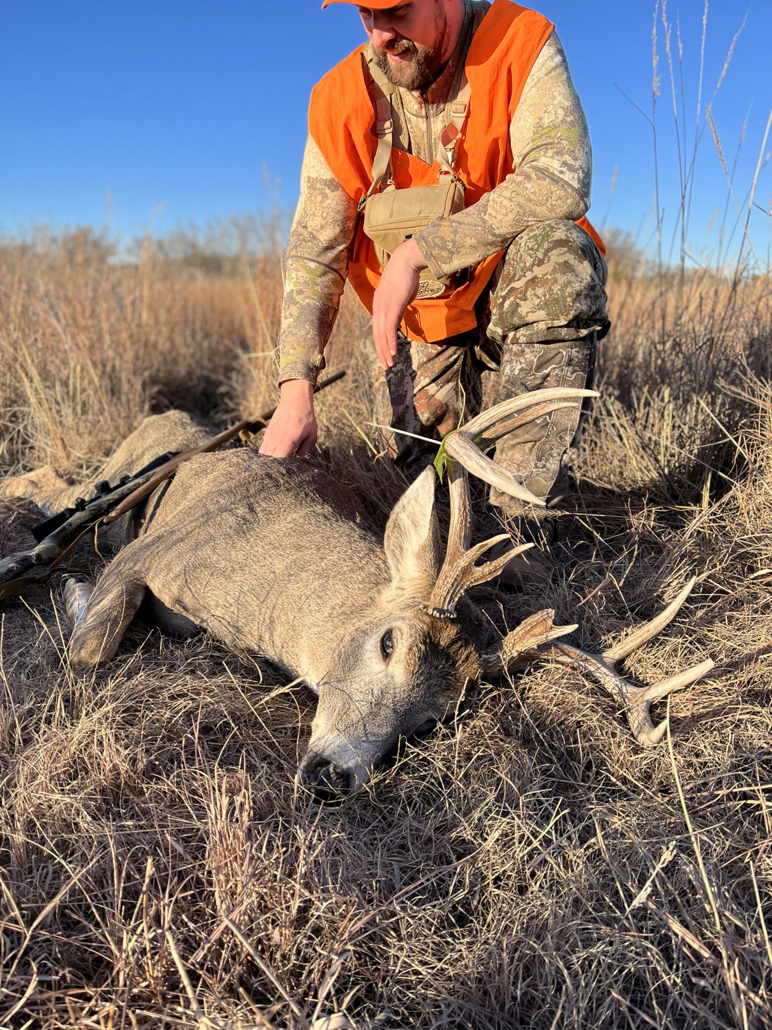 deer hunting buck whitetail hunter rifle